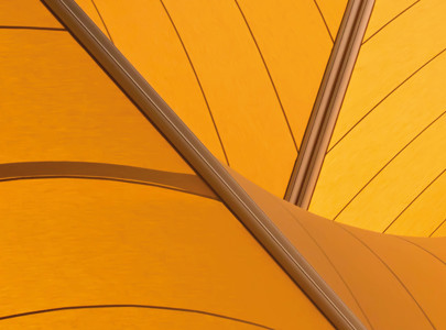 Orange lines